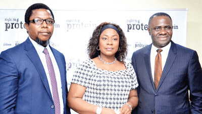 Right To Protein Nigeria celebrates Protein Day, launches Protein-O-Meter – New Telegraph