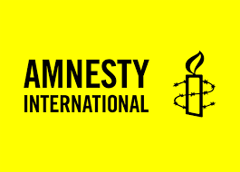 368 Killed in Attacks, Amnesty International Contradicts Government Claims