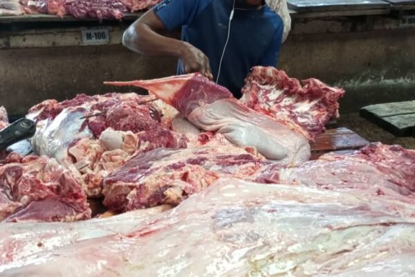 Rejected Bone: How Hardship Pushes Nigerian Households to Go for Bones Meant for Dogs