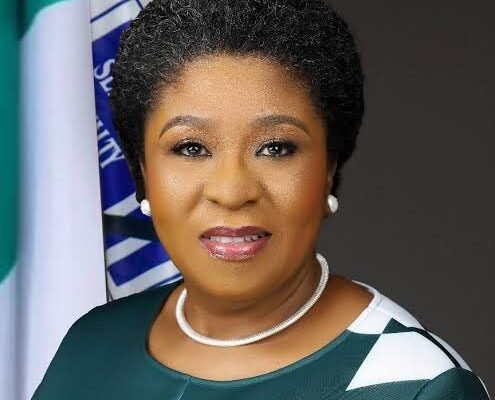Nigeria Begins Civil Service Audit to Eliminate Ghost Workers