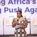 Dr Nnenna Ogbulafor addresses global malaria summit in 2025