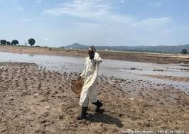 A farmer in Adamawa State in a dried farmland destroyed by floods, July 2025 (Image credit: Internet)