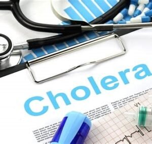 WHO report confirms more than 6,000 global cholera deaths in 2024