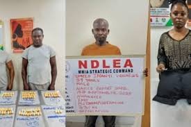 NDLEA Nabs Brazil Returnees, Hotel Contact in Drug Bust
