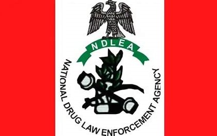 NDLEA confirms Saudi release of three Nigerian pilgrims framed for drugs