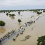 Submerged farmlands along River Benue after August floods, 2024 (Image credit: Internet)
