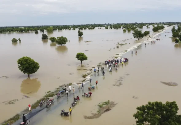 Submerged farmlands along River Benue after August floods, 2024 (Image credit: Internet)