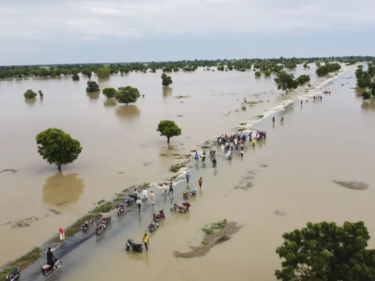 Submerged farmlands along River Benue after August floods, 2024 (Image credit: Internet)