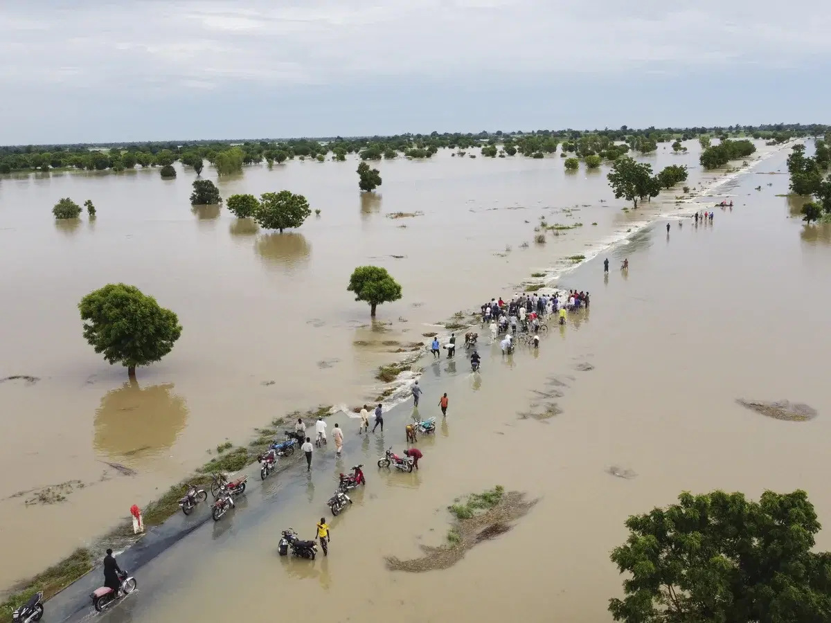 Submerged farmlands along River Benue after August floods, 2024 (Image credit: Internet)