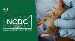 Health workers respond as Lassa fever kills 162 Nigerians in 2025