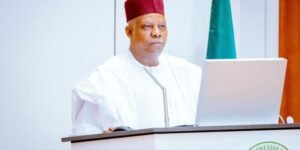 Vice President Shettima speaking at the Nigerian Renewable Energy Forum.