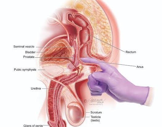 Scientists present new prostate cancer drug trial results at ESMO Congress in Berlin
