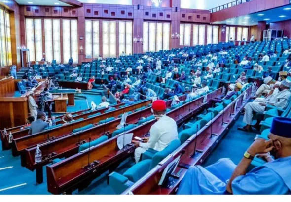 Nigerian lawmakers debate motion to ban toxic pesticides over public health and food safety risks