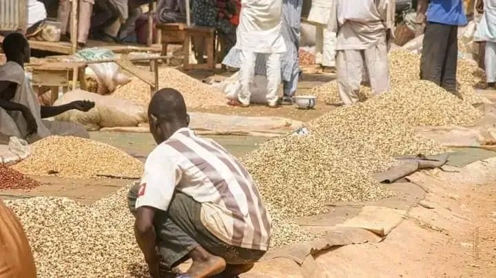 Traders sitting beside unsold bags of grains in the Kano market as falling prices fail to attract buyers.