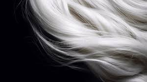 Grey hair close-up showing texture and strands