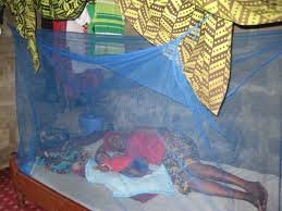 Health worker spraying mosquito nets in rural Nigeria.