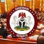 Nigerian Senate chamber during debate on abortion amendment bill.