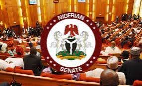 Nigerian Senate chamber during debate on abortion amendment bill.