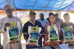 Lagos officials unveiling biofortified Eko Rice at Imota Rice Mill