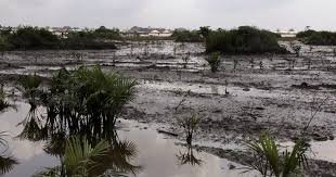 Flooded Niger Delta community affected by oil pollution