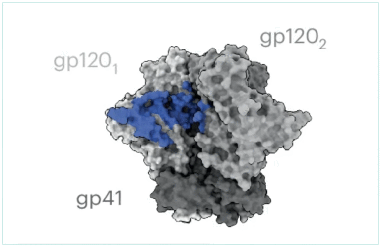 Tanzanian woman’s antibody shows promise for new HIV treatment