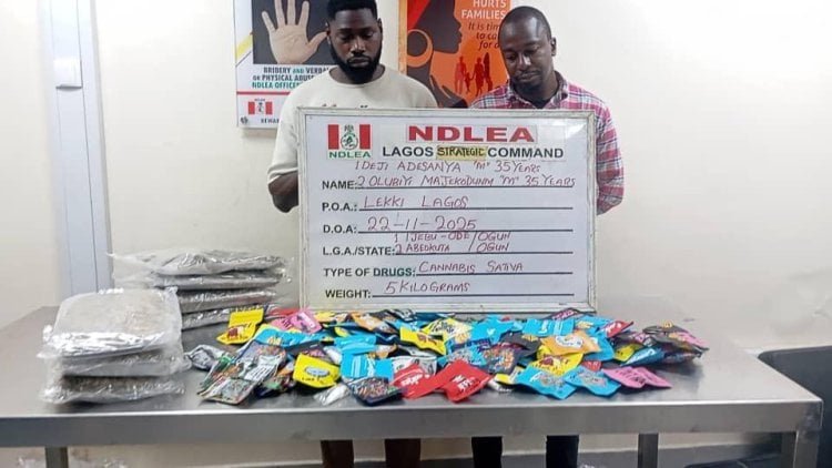 Confiscated cannabis packets disguised as Christmas snacks displayed by NDLEA