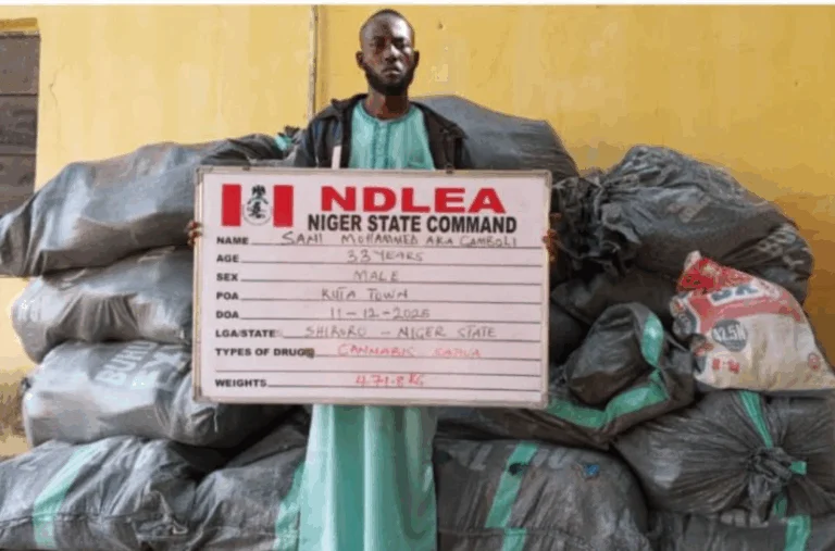 NDLEA operatives displaying seized illicit drugs