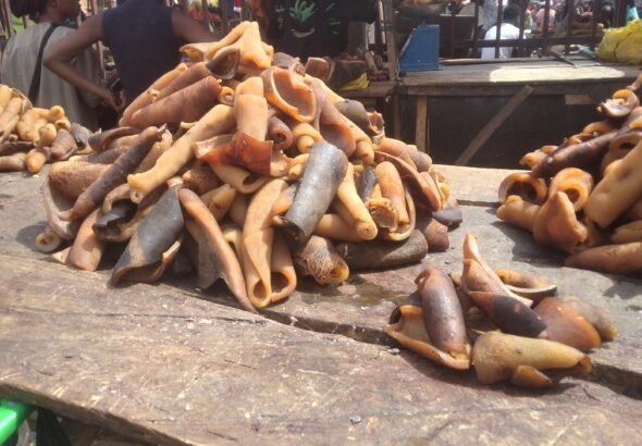 Ponmo hawker selling portions sourced from abattoir hides