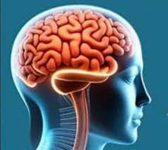 Nigerian doctors discuss brain drain crisis at NAUS conference