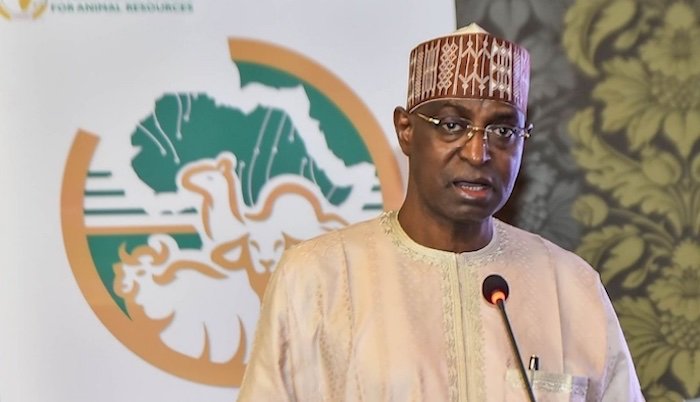 Federal officials launching mass animal vaccination campaign in Sokoto