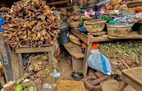 Traditional medicine practitioners in Nigeria during documentation