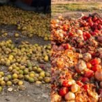 Cold storage facility preserving fresh agricultural produce in Nigeria
