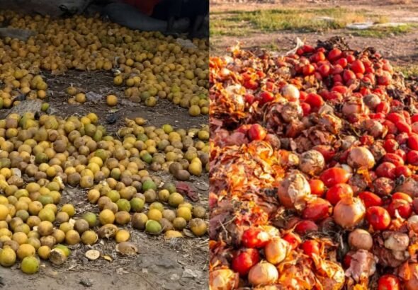 Cold storage facility preserving fresh agricultural produce in Nigeria