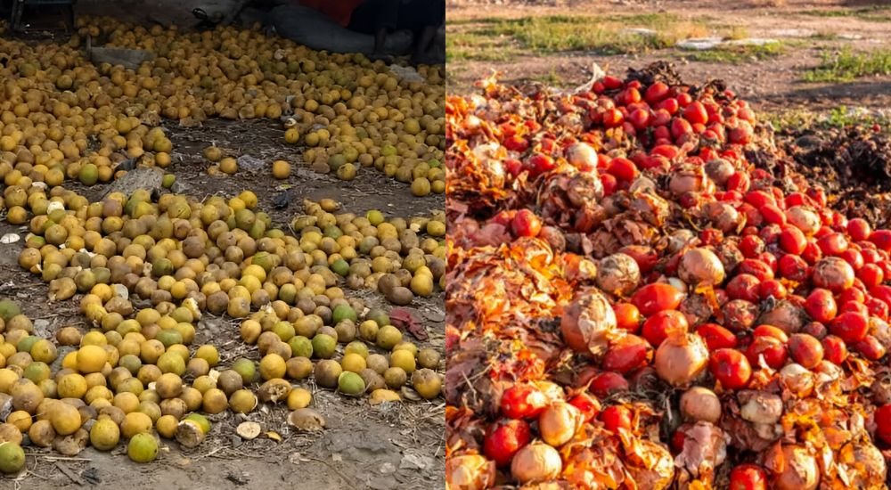 Cold storage facility preserving fresh agricultural produce in Nigeria