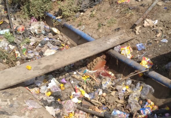 Stagnant drainage filled with animal waste beside Kubwa Market in Abuja