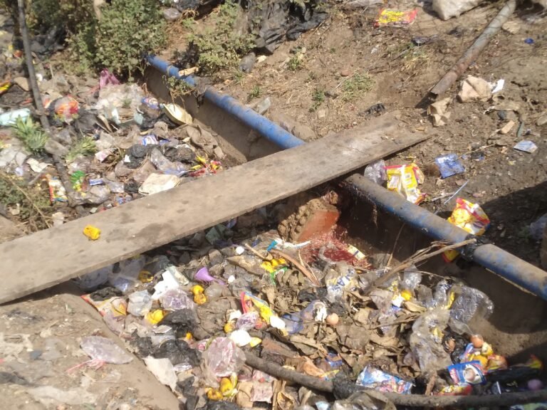 Stagnant drainage filled with animal waste beside Kubwa Market in Abuja