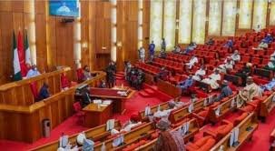 Nigerian Senate plenary discussing mandatory antivenom stocking policy