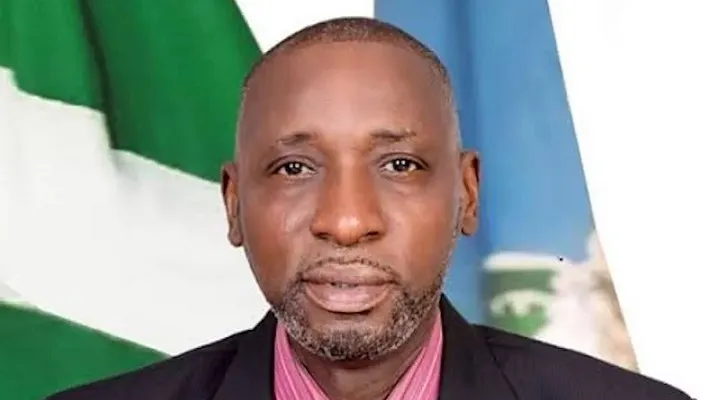 Professor Ayo Omotayo Director-General of National Institute for Policy and Strategic Studies