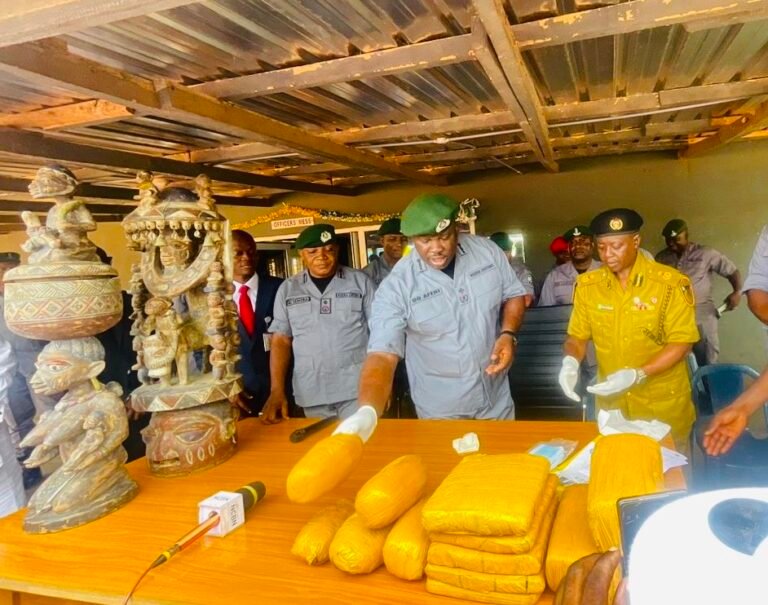 Seized contraband displayed by Nigeria Customs in Ogun