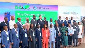 African leaders at gas cooperation roundtable discussing energy strategy