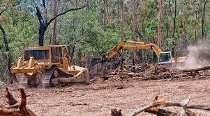 Deforested land showing severe forest loss in Nigeria