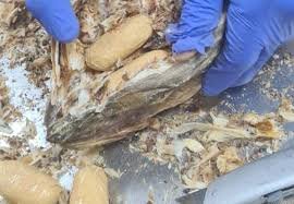 NDLEA Seizes Cocaine Hidden in Stockfish, Busts Drug Ring