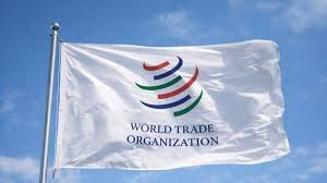WTO ministers meet in Yaoundé amid global trade tensions