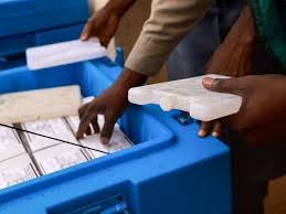 Vaccine storage and immunisation process in Nigeria