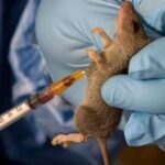 Healthcare workers attending to Lassa fever patients in Nigeria