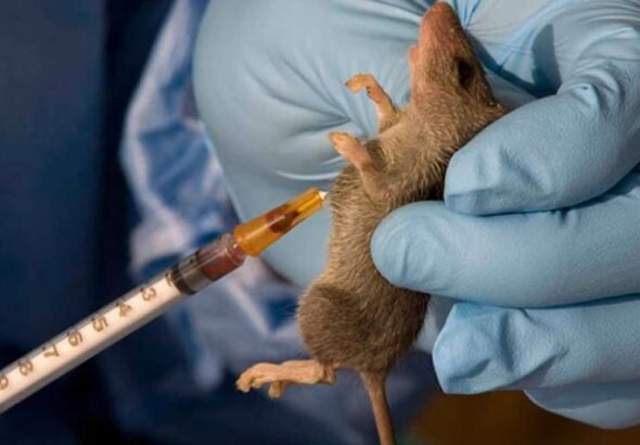 Healthcare workers attending to Lassa fever patients in Nigeria