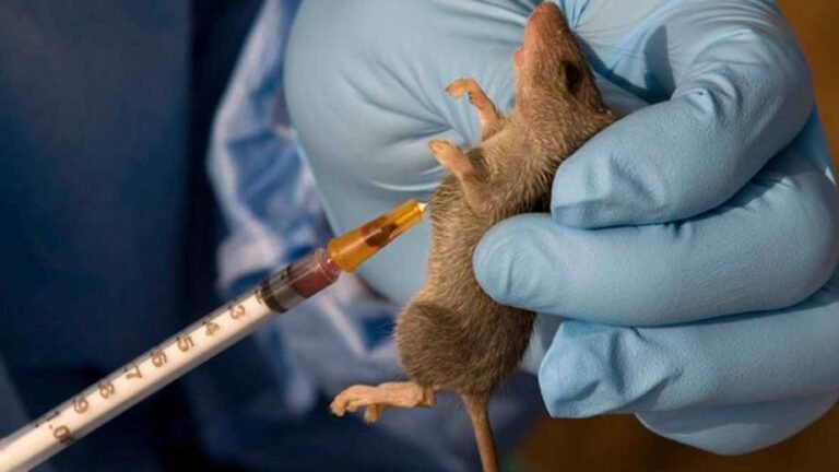 Healthcare workers attending to Lassa fever patients in Nigeria