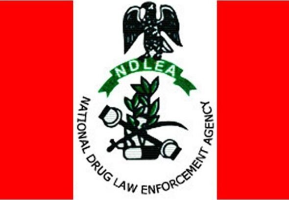 NDLEA operatives involved in the re-arrest of a suspected drug trafficker in Edo State