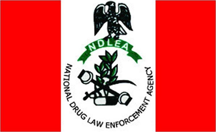 NDLEA operatives involved in the re-arrest of a suspected drug trafficker in Edo State