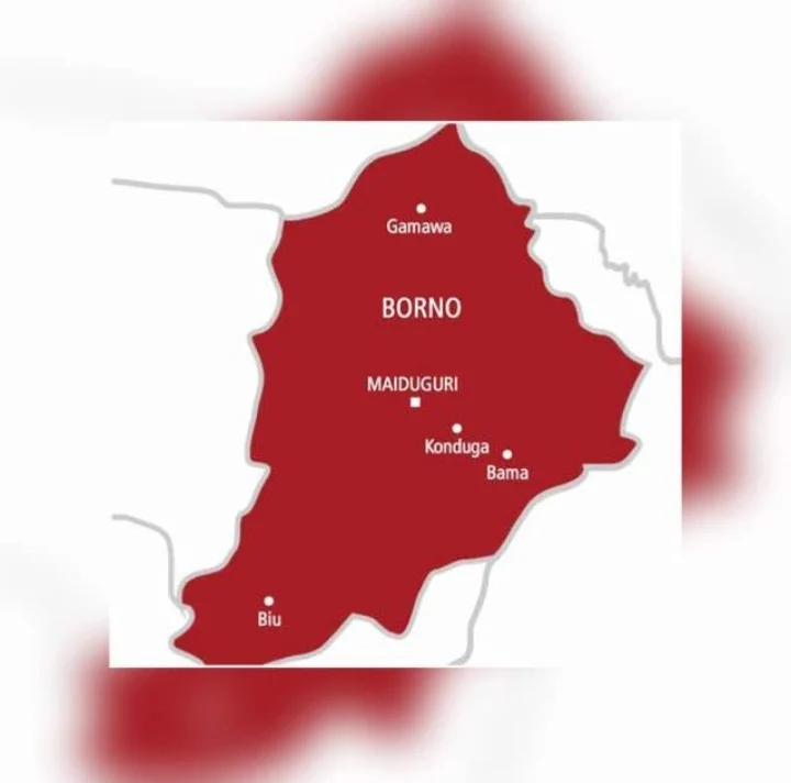 Health workers responding to a cholera outbreak in Borno State.